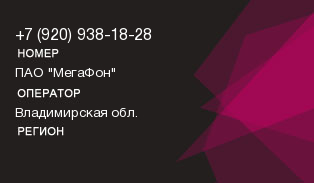 9209381828